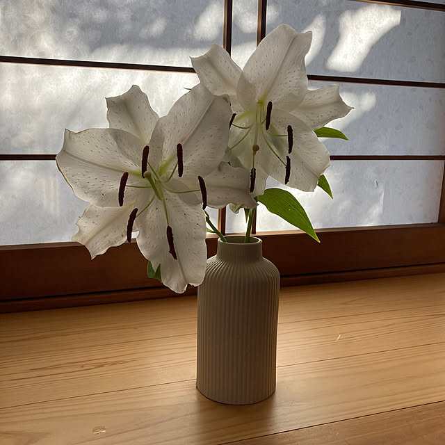 mamaさんの実例写真