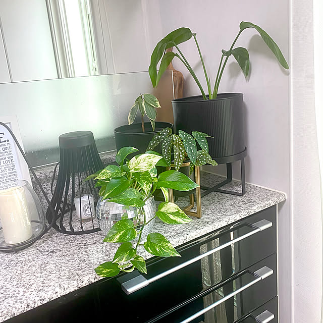 m.Reikoさんの実例写真