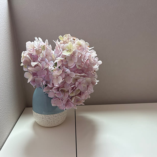 violetさんの部屋