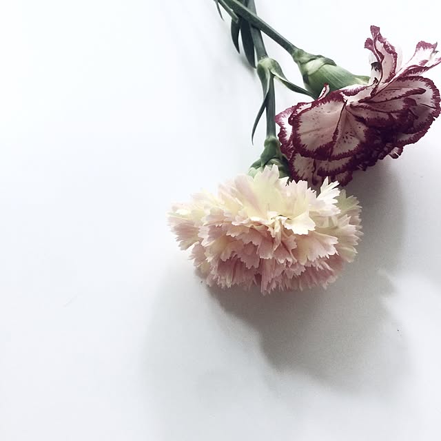 tomoさんの実例写真