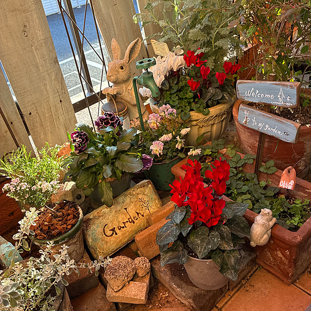 miicyanさんの実例写真