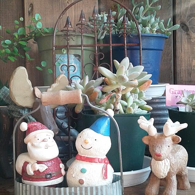 実例写真