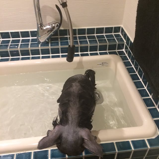 naeさんの実例写真