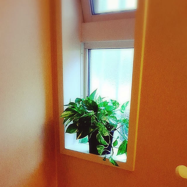 okeychikunさんの実例写真