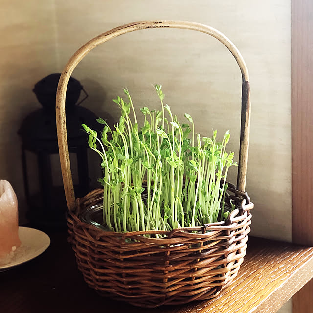 happyseedさんの実例写真