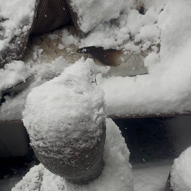 takakuzenさんの部屋