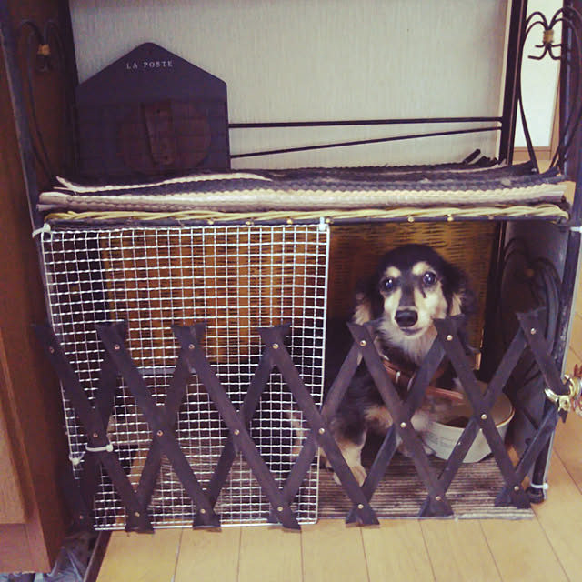 hidenekosanさんの実例写真