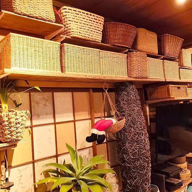 peace1248さんの実例写真