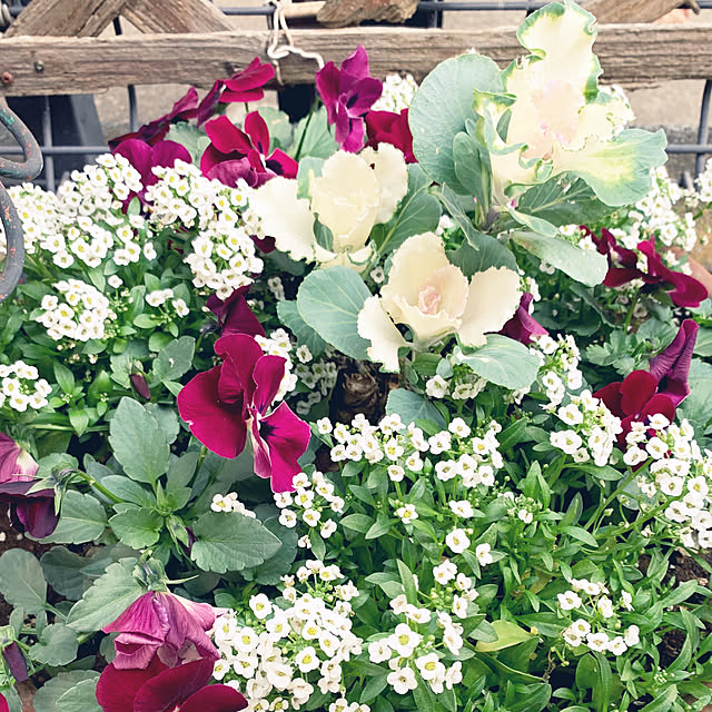 KYONさんの実例写真