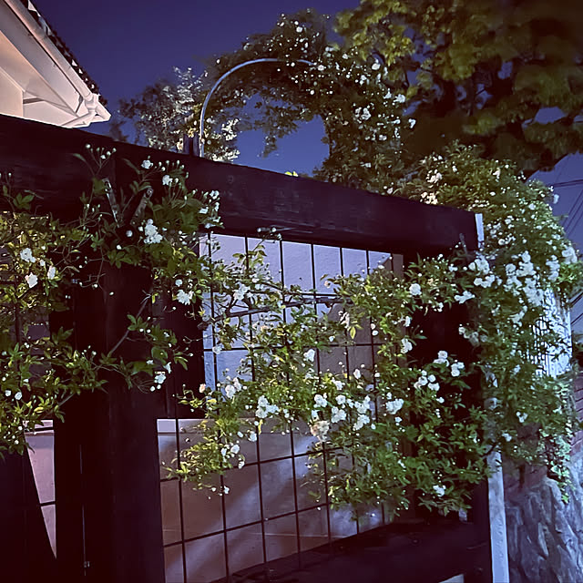 naonaoさんの実例写真