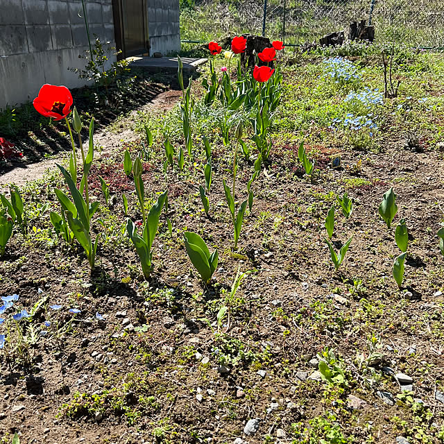 pokowheeさんの部屋