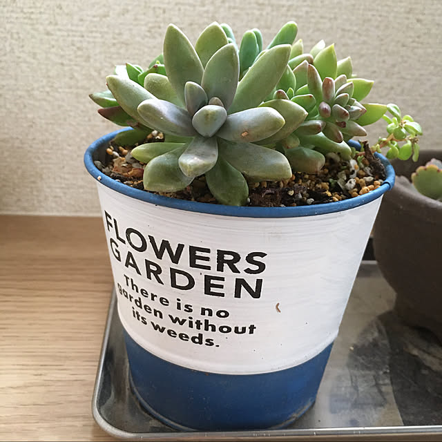 Hanamさんの実例写真