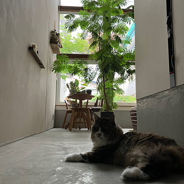 micさんの部屋