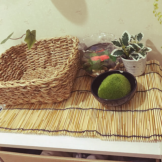 kaitomari02080708さんの実例写真