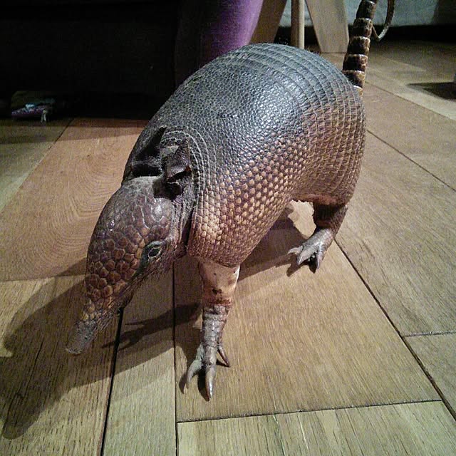Yosukeさんの実例写真