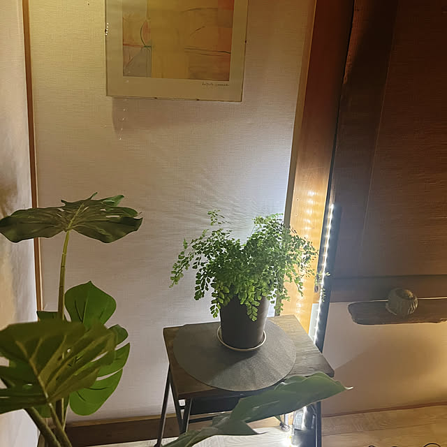 rookuさんの部屋