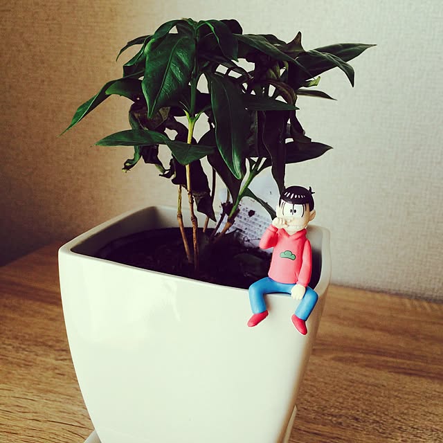 tettyan105さんの実例写真