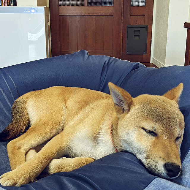 s_h_yさんの実例写真