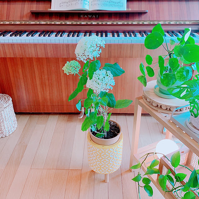 moonさんの部屋