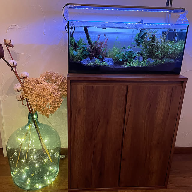 annnaさんの部屋