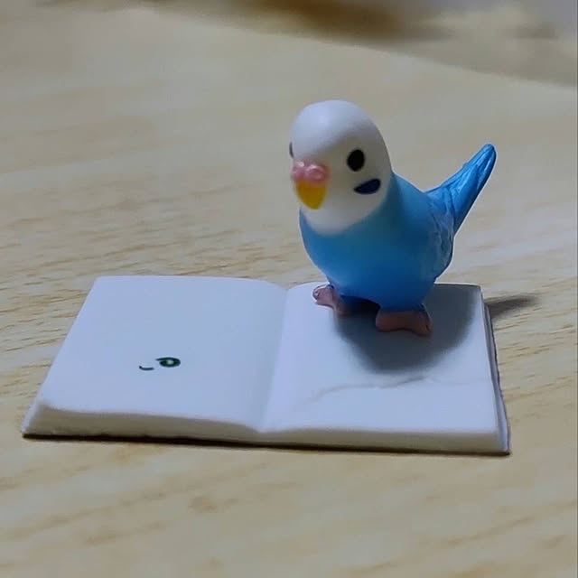 toratanさんの実例写真