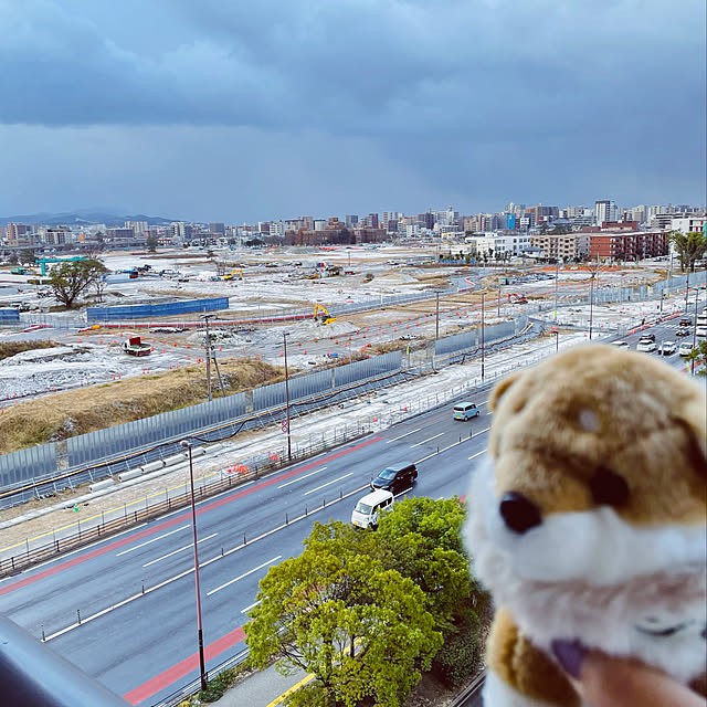 aureaさんの実例写真
