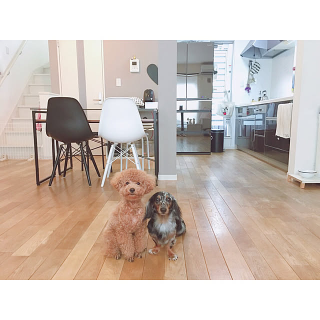 mogucocoさんの実例写真