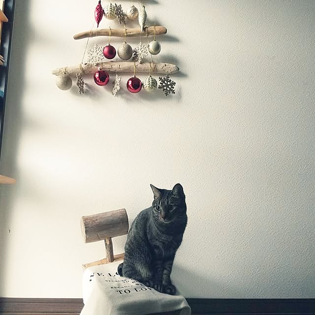 Mikaさんの部屋