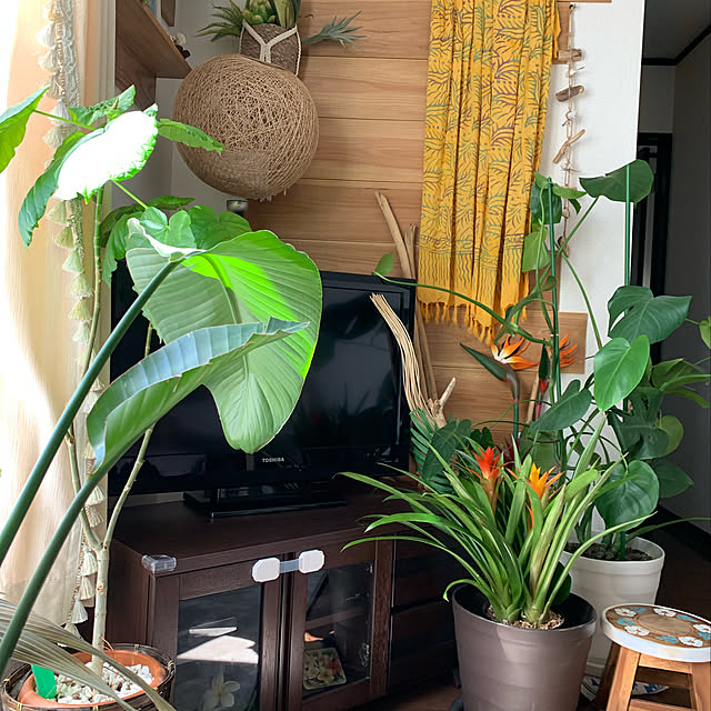 sohanaさんの実例写真