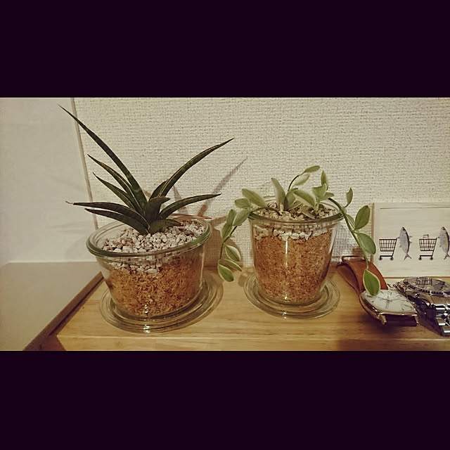 piiiiiiiさんの実例写真
