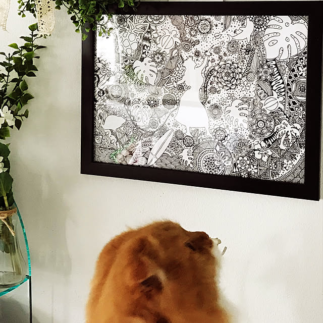 m.kantoh18_mikkoさんの実例写真