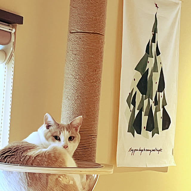 aobahahaさんの実例写真