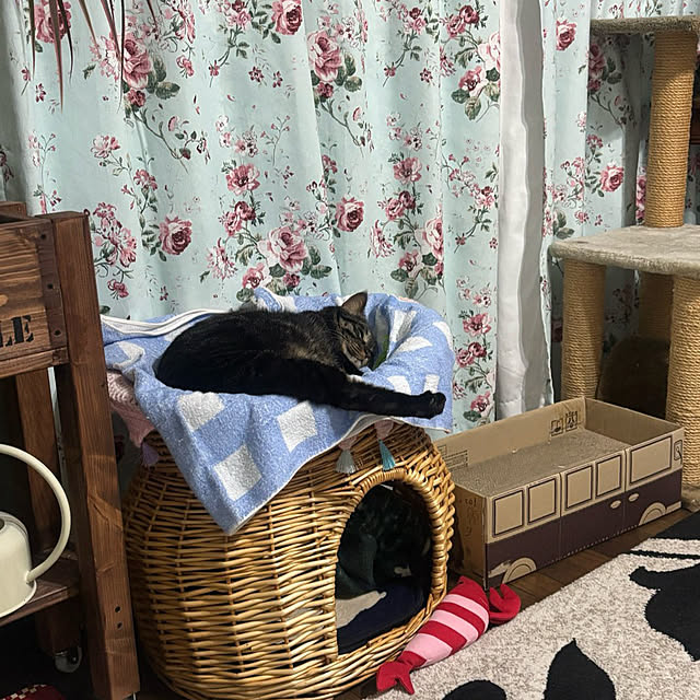 momocchiさんの部屋