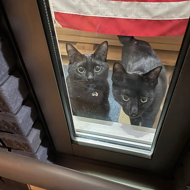 TOA-80さんの部屋