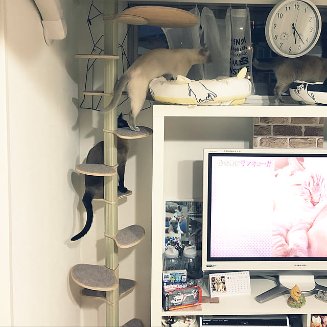 monkeymajimajikさんの実例写真