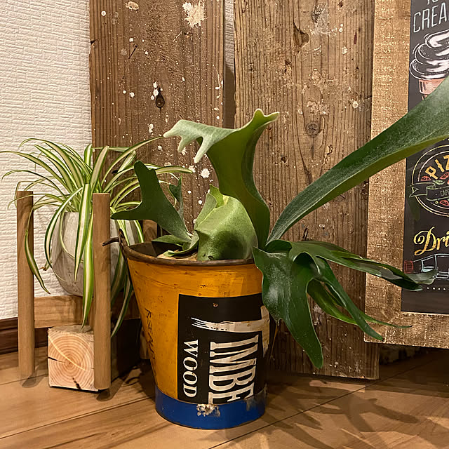 koto.ohanaさんの実例写真