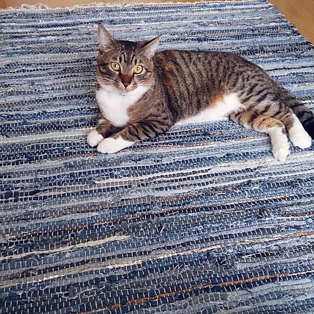 Lukiさんの実例写真