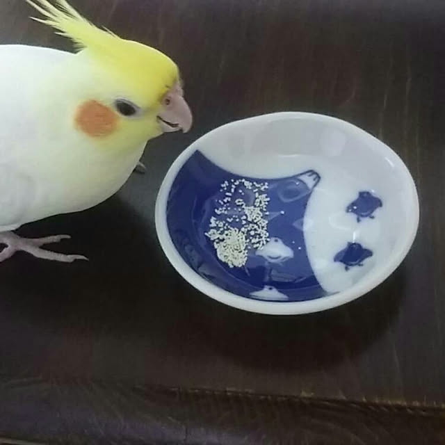 pontaさんの実例写真