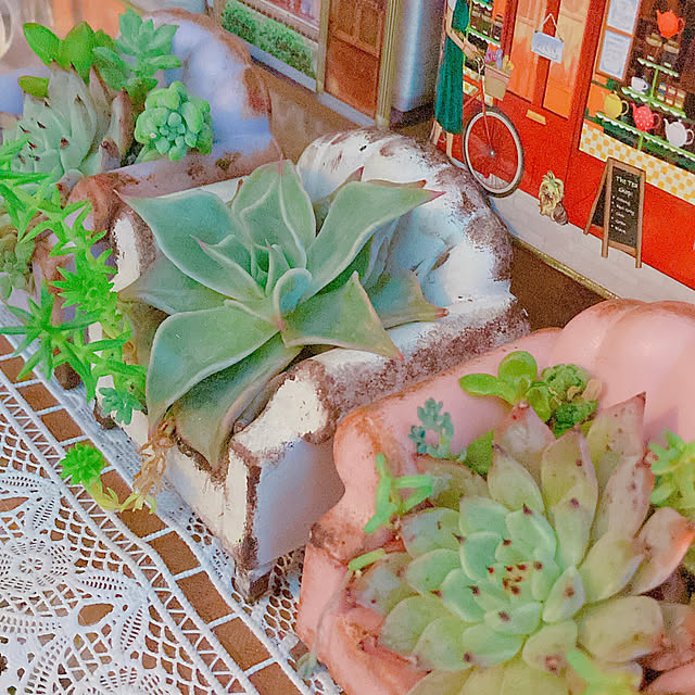 Hanakaさんの部屋