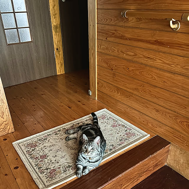 yumiさんの部屋