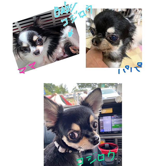 melmelさんの実例写真