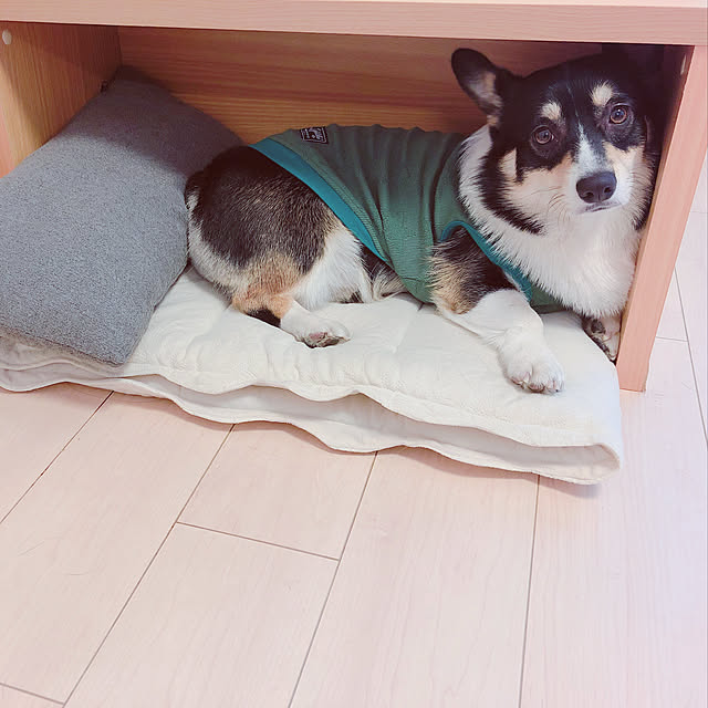 Ruiさんの実例写真