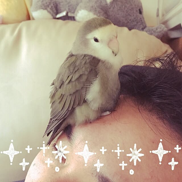 kaotanさんの実例写真