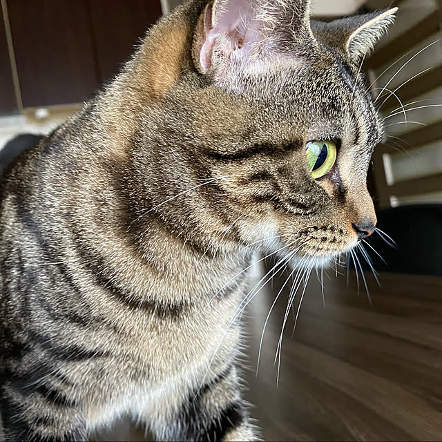 YUKIKOさんの実例写真