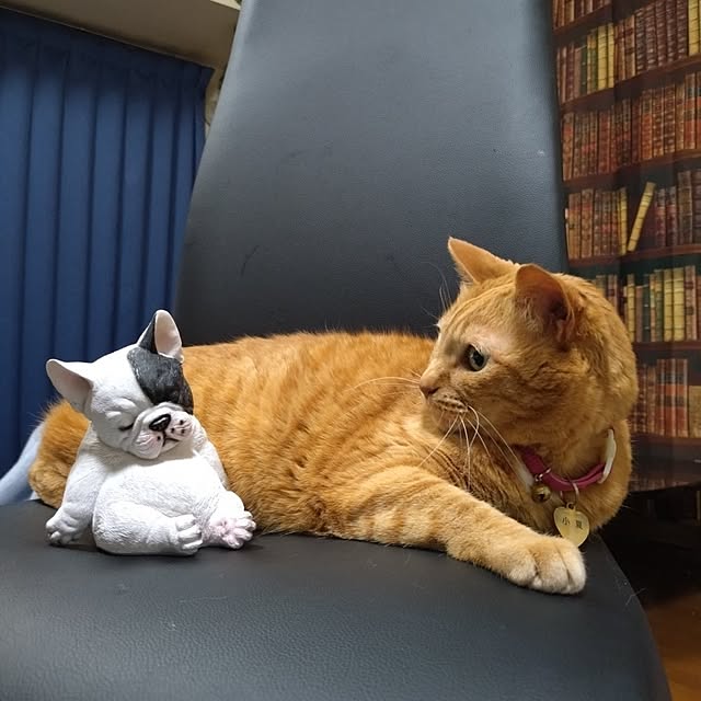 NOAHさんの部屋