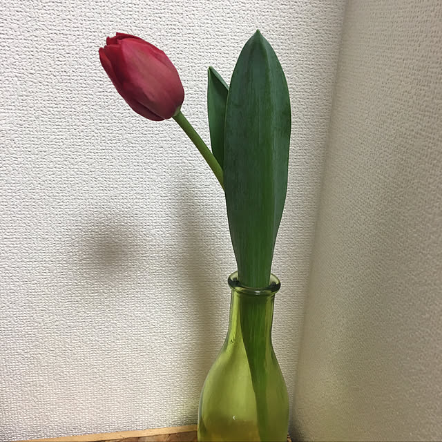 cccさんの実例写真