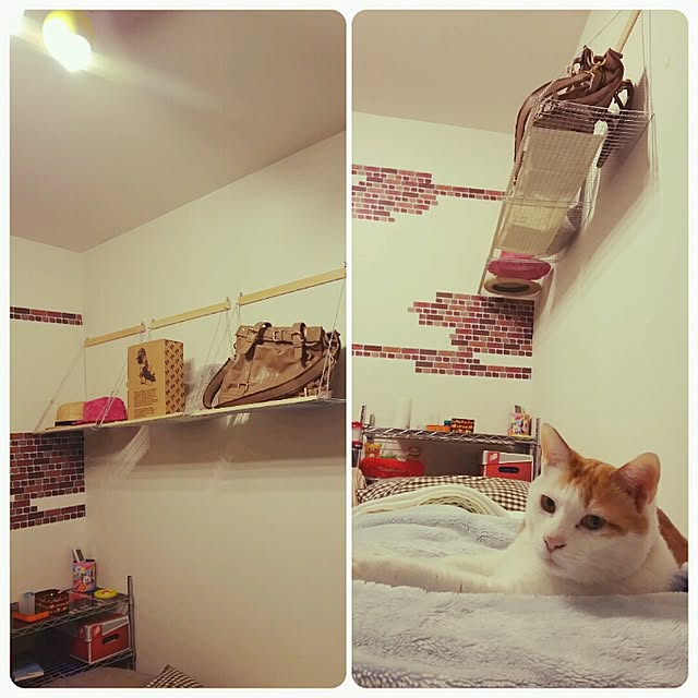 porinさんの実例写真