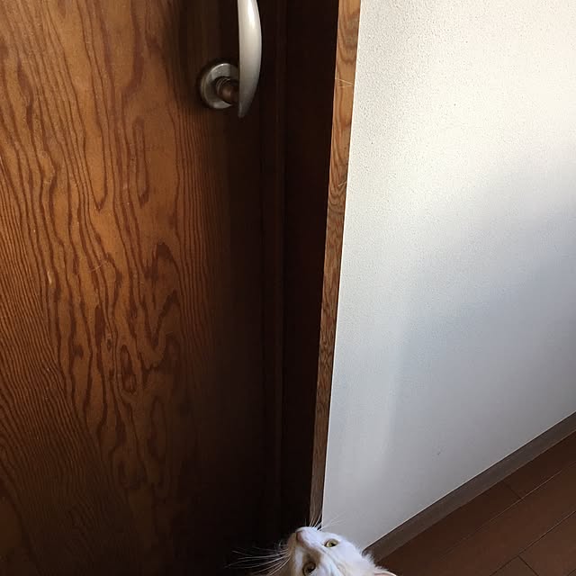 shigimiさんの実例写真