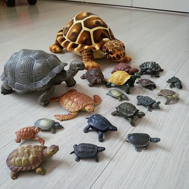 hiromyuseumさんの実例写真