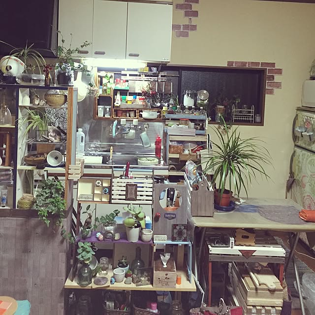 Norikoさんの実例写真